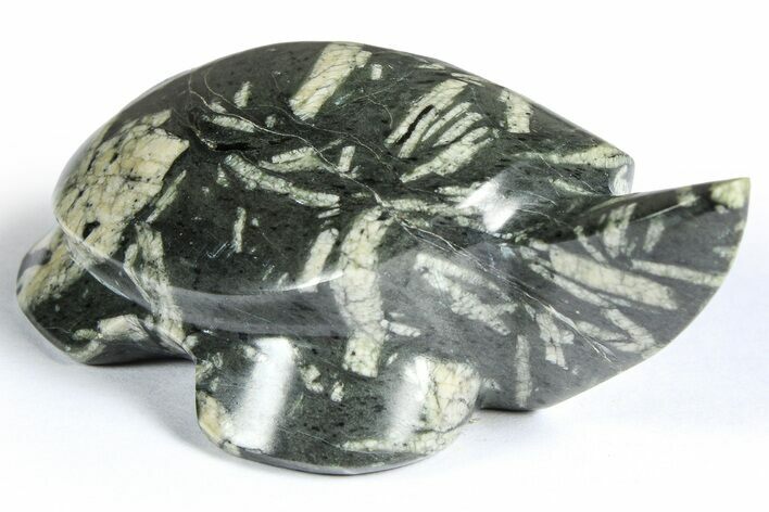 Polished Chinese Writing Rock Turtle - Alaska #366530